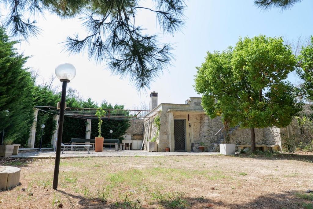 Il giardino tra i pini